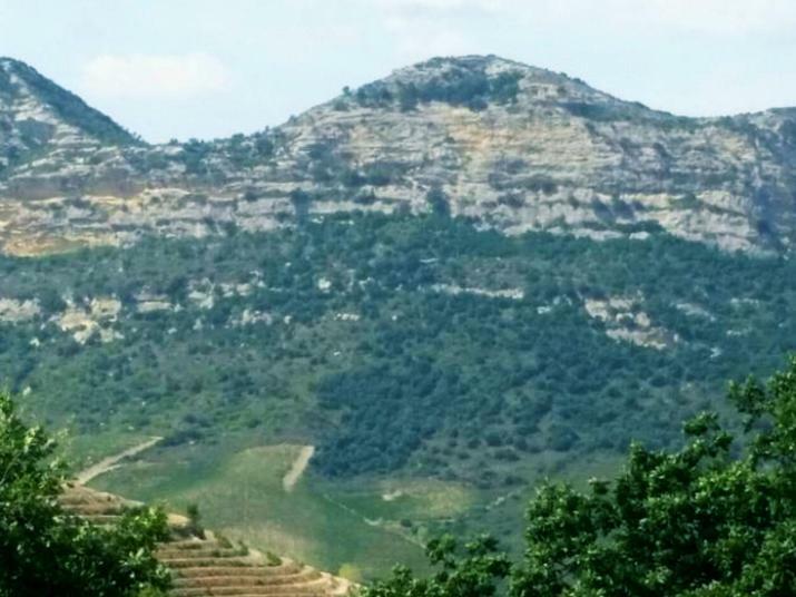 Appartamento Ma vie là Patrimonio Esterno foto
