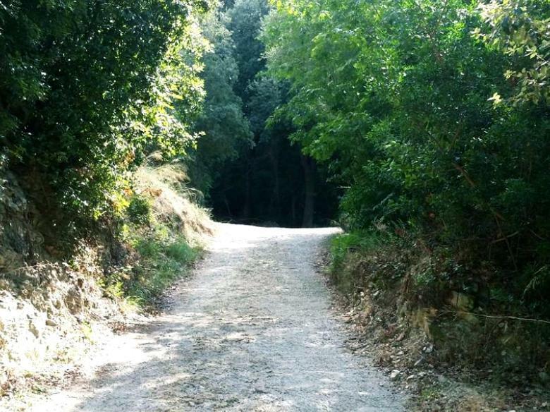 Appartamento Ma vie là Patrimonio Esterno foto